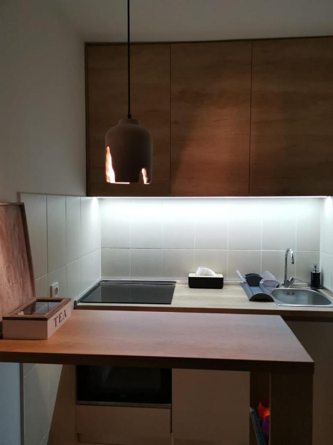 Studio Apartment Art Zone พอดโกริกา ภายนอก รูปภาพ
